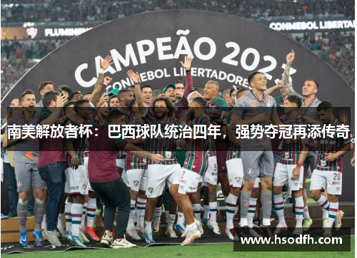 南美解放者杯：巴西球队统治四年，强势夺冠再添传奇