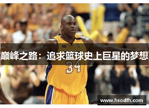 巅峰之路：追求篮球史上巨星的梦想